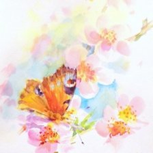 Схема вышивки «Бабочки»