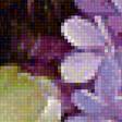 Предпросмотр схемы вышивки «modré kvety» (№1293490)