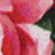 Предпросмотр схемы вышивки «ružové ruže» (№1293506)