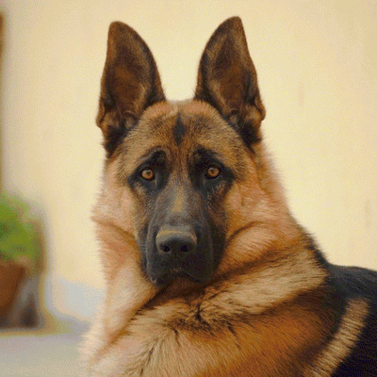 взгляд умных глаз - предпросмотр