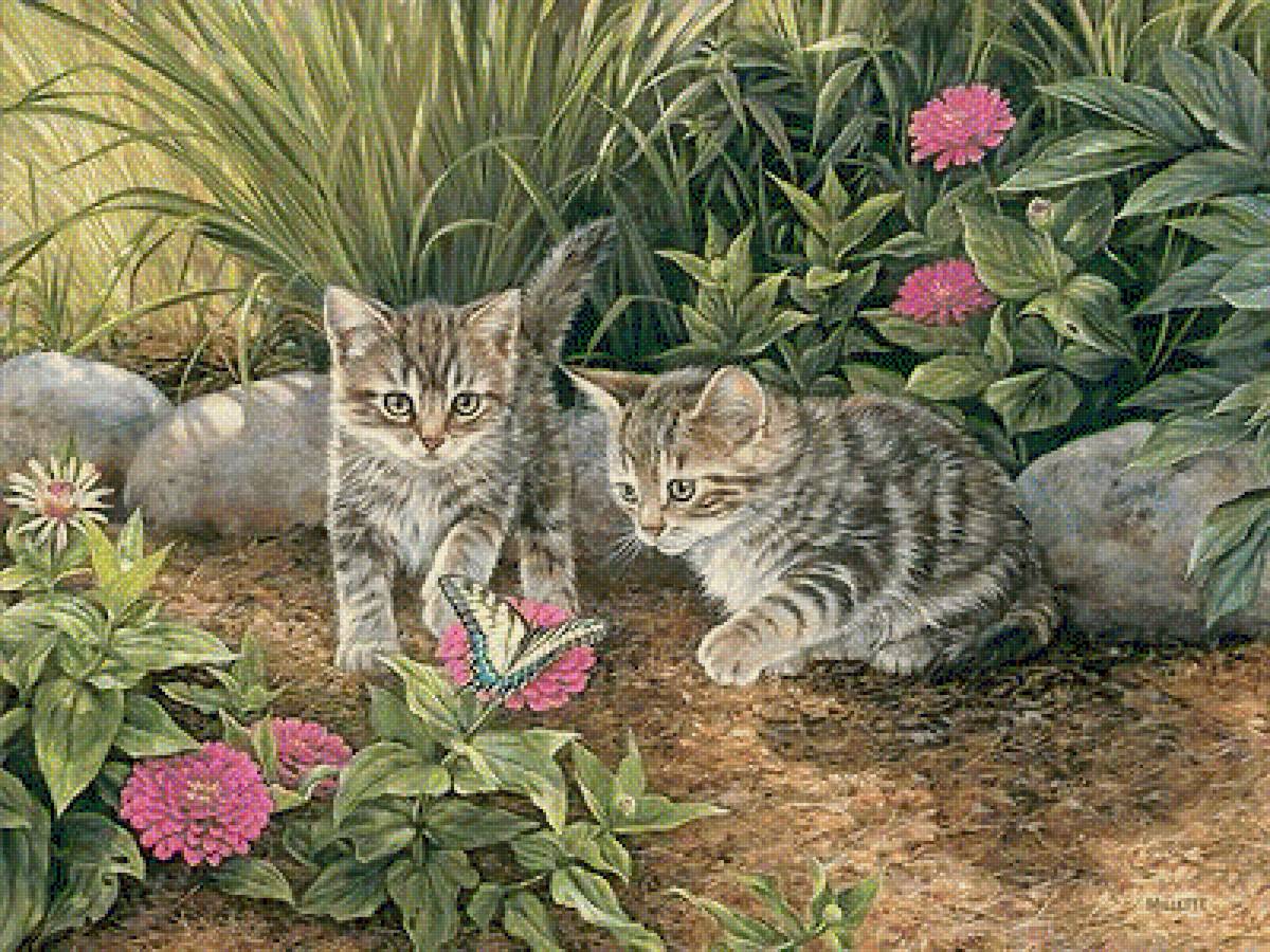 12 - предпросмотр