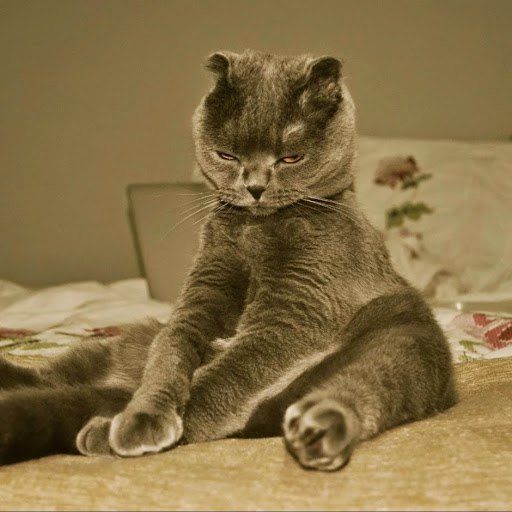 перезагрузка) - оригинал