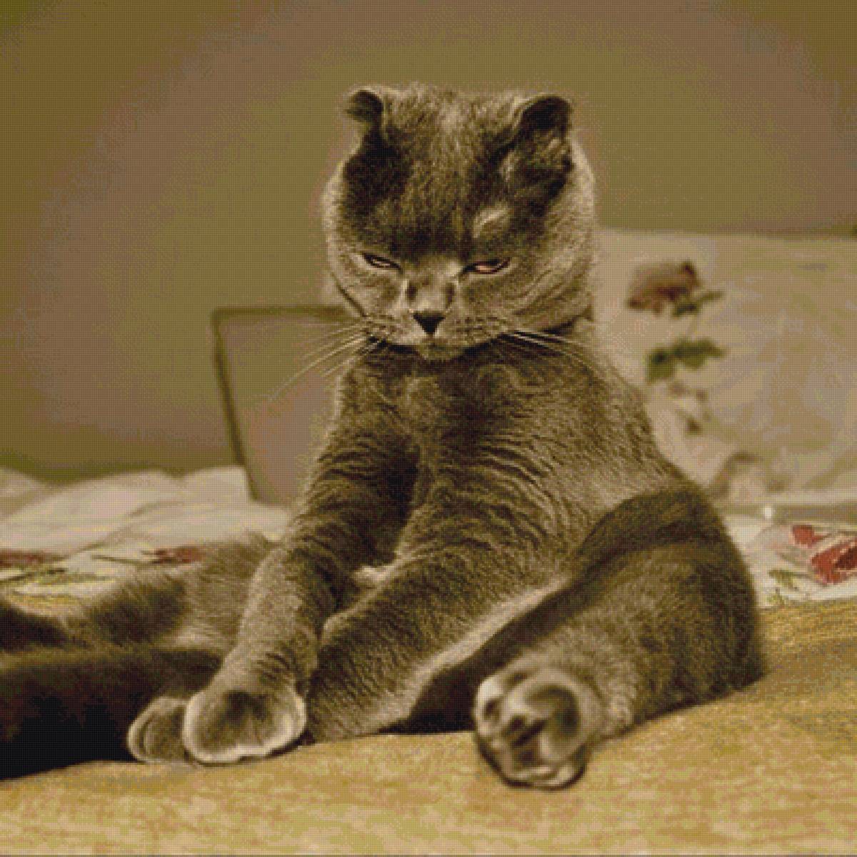 перезагрузка) - предпросмотр