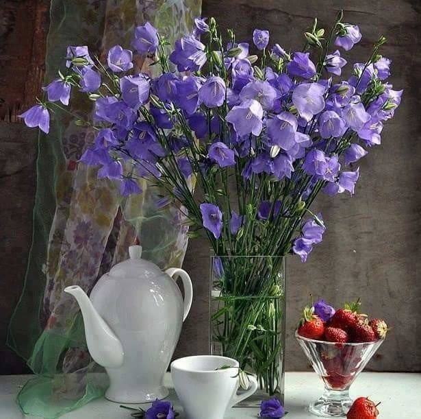 Полевые цветы - цветы, натюрморт - оригинал