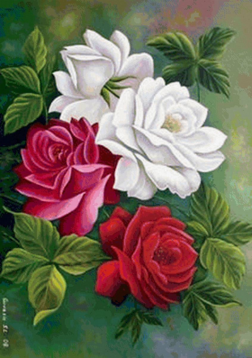 tri ruže - предпросмотр