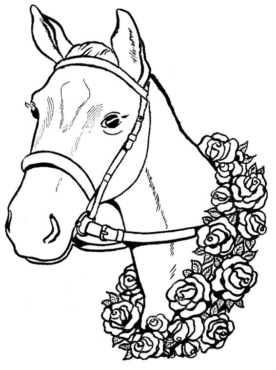 лошадка - монохром, животные, лошади - оригинал