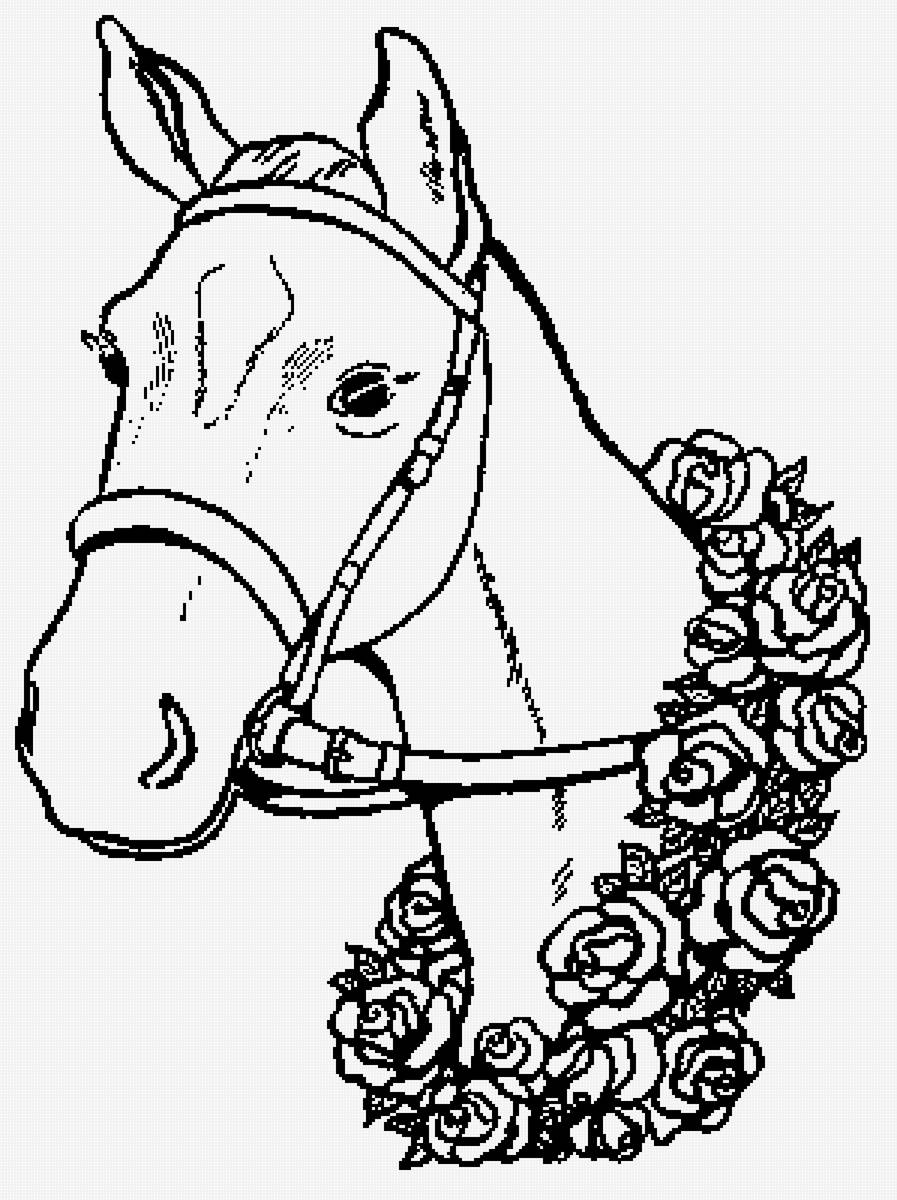 лошадка - лошади, монохром, животные - предпросмотр