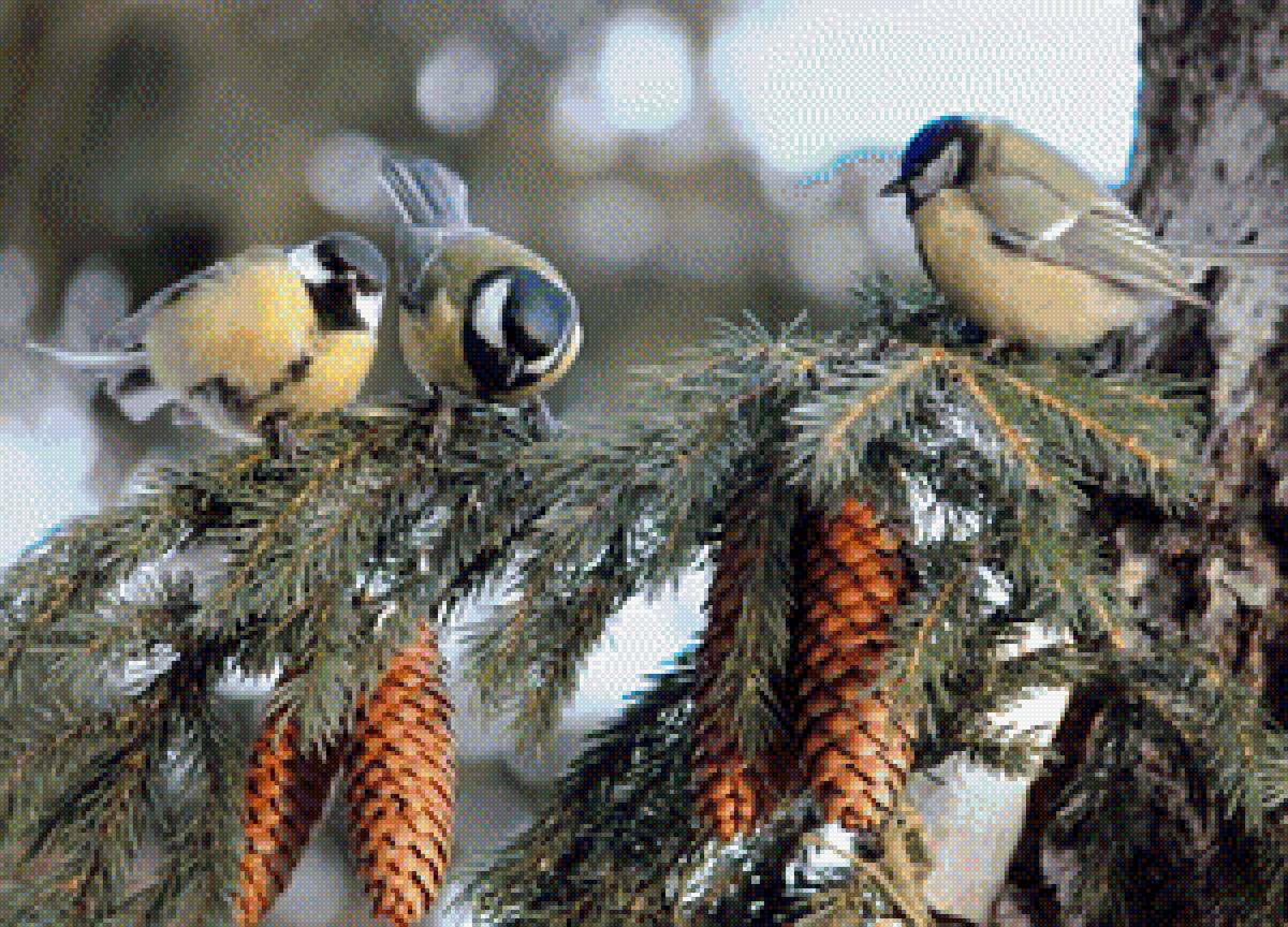 подружки-щебетушки - птицы - предпросмотр