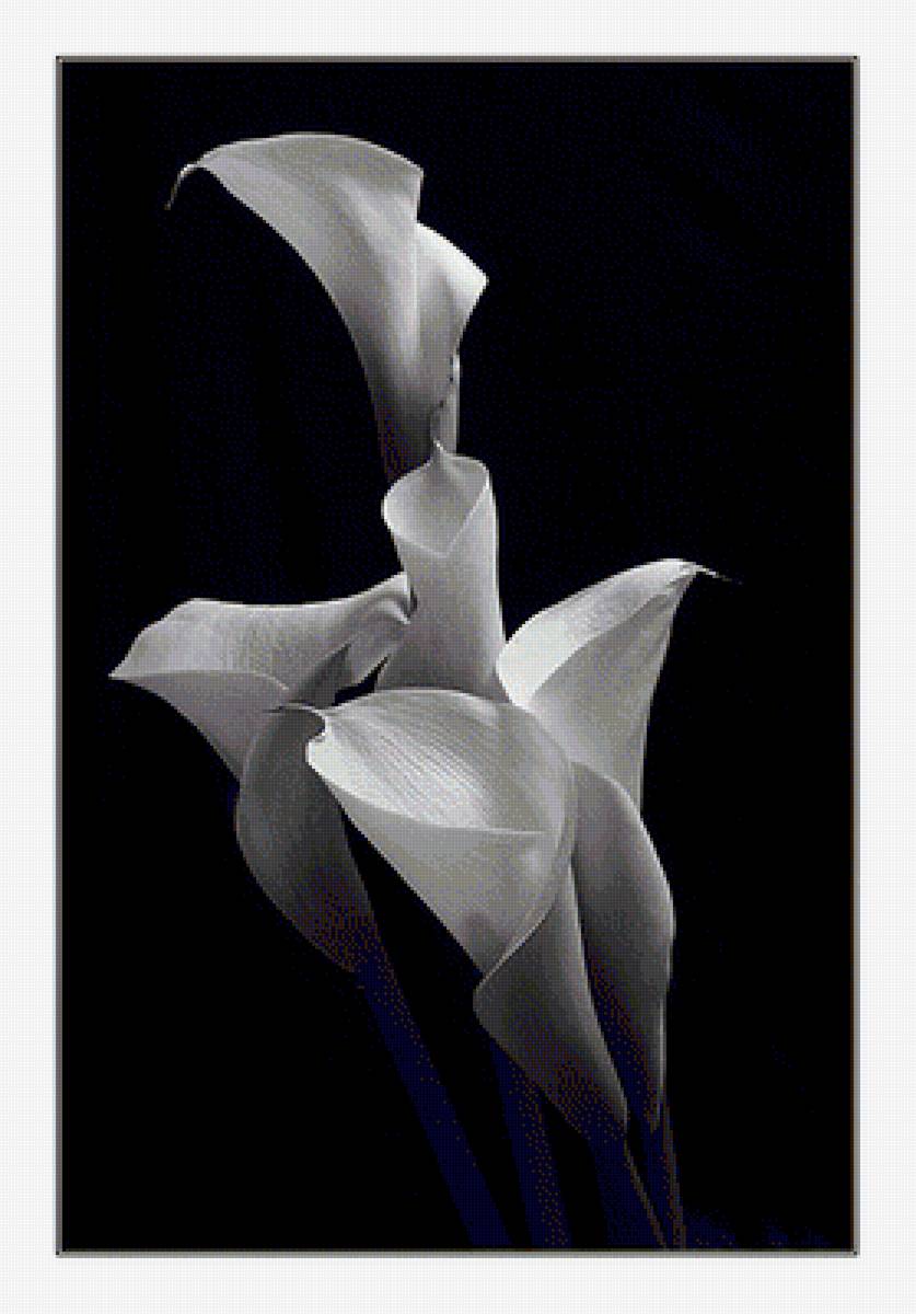 №1296179 - предпросмотр