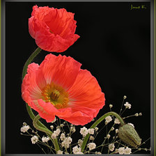 Схема вышивки «№1296232»