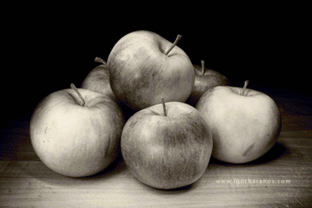 №1296339 - предпросмотр