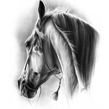 Схема вышивки «№1296340»