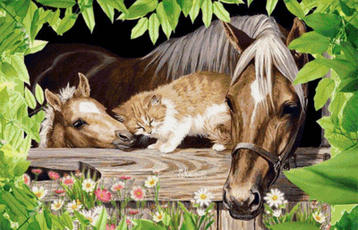 Лошадь красивые слова. Картины с животными. Картины с лошадьми на природе. Лето животные. Красивые картины животных.