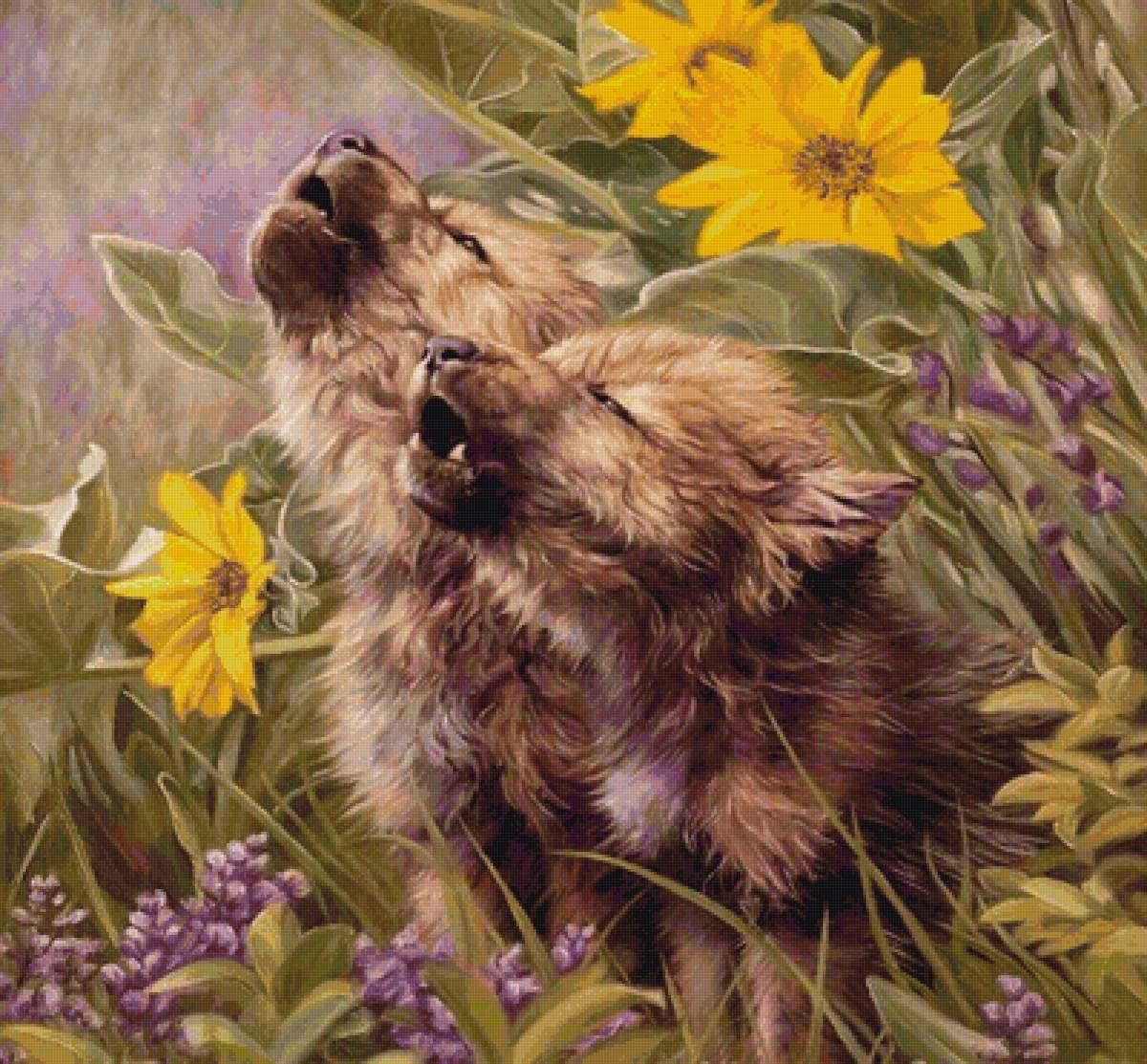 волчата в коричневых тонах - предпросмотр