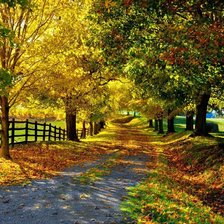 Схема вышивки «скверик»