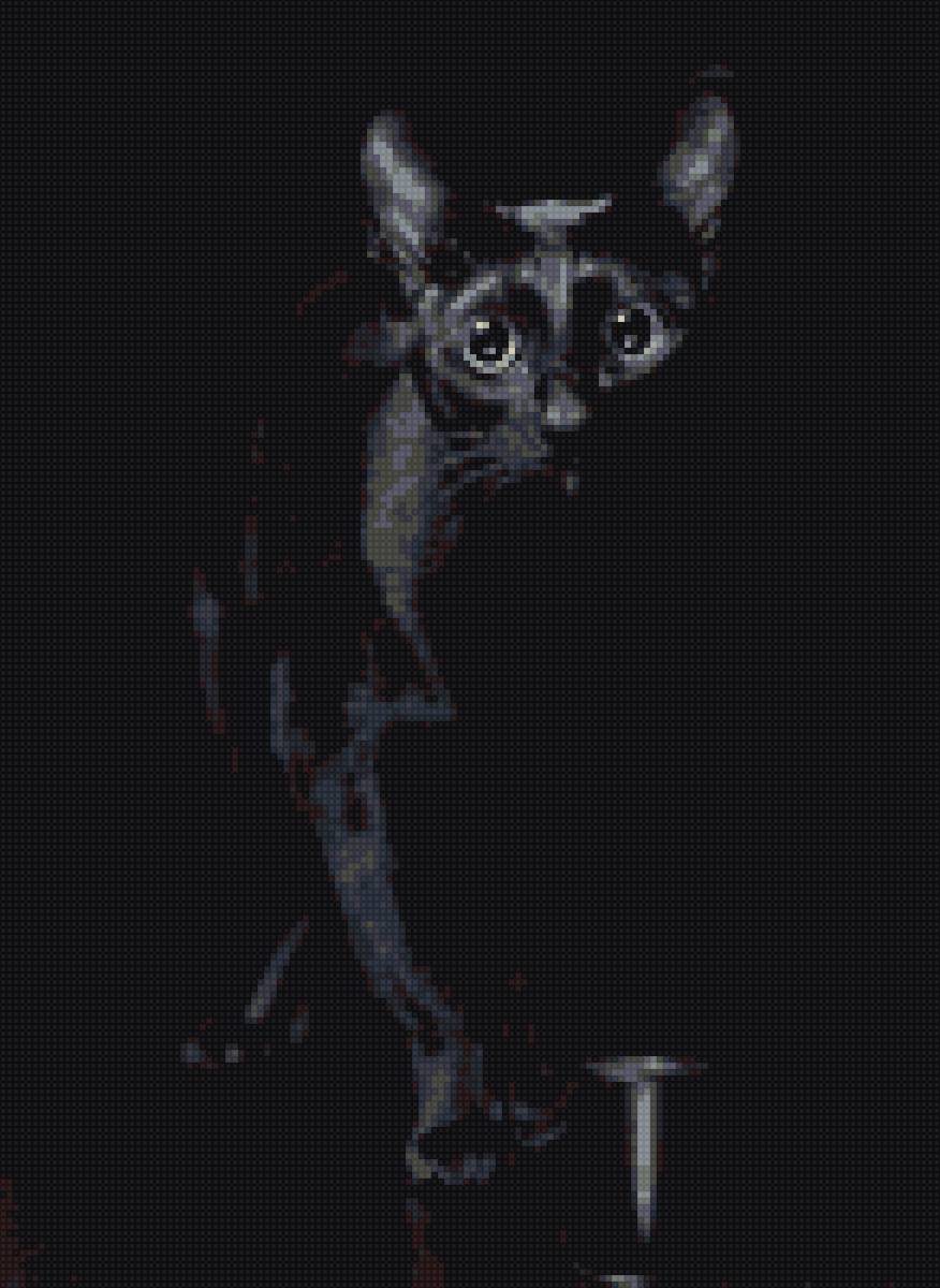 Черный кот - кошка, животные, кот - предпросмотр