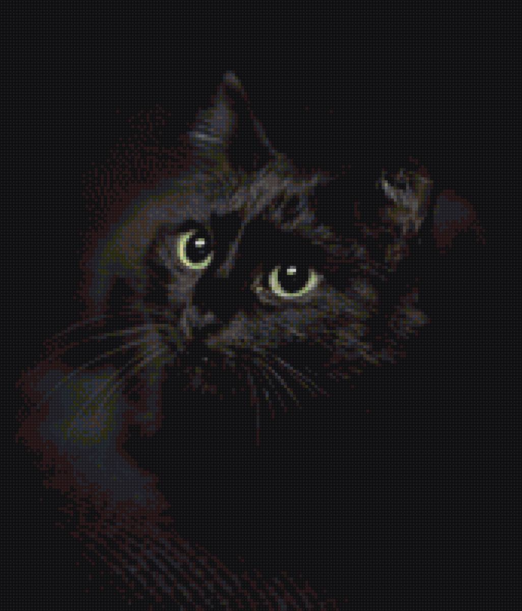 Черный кот - кошка, животные, кот - предпросмотр