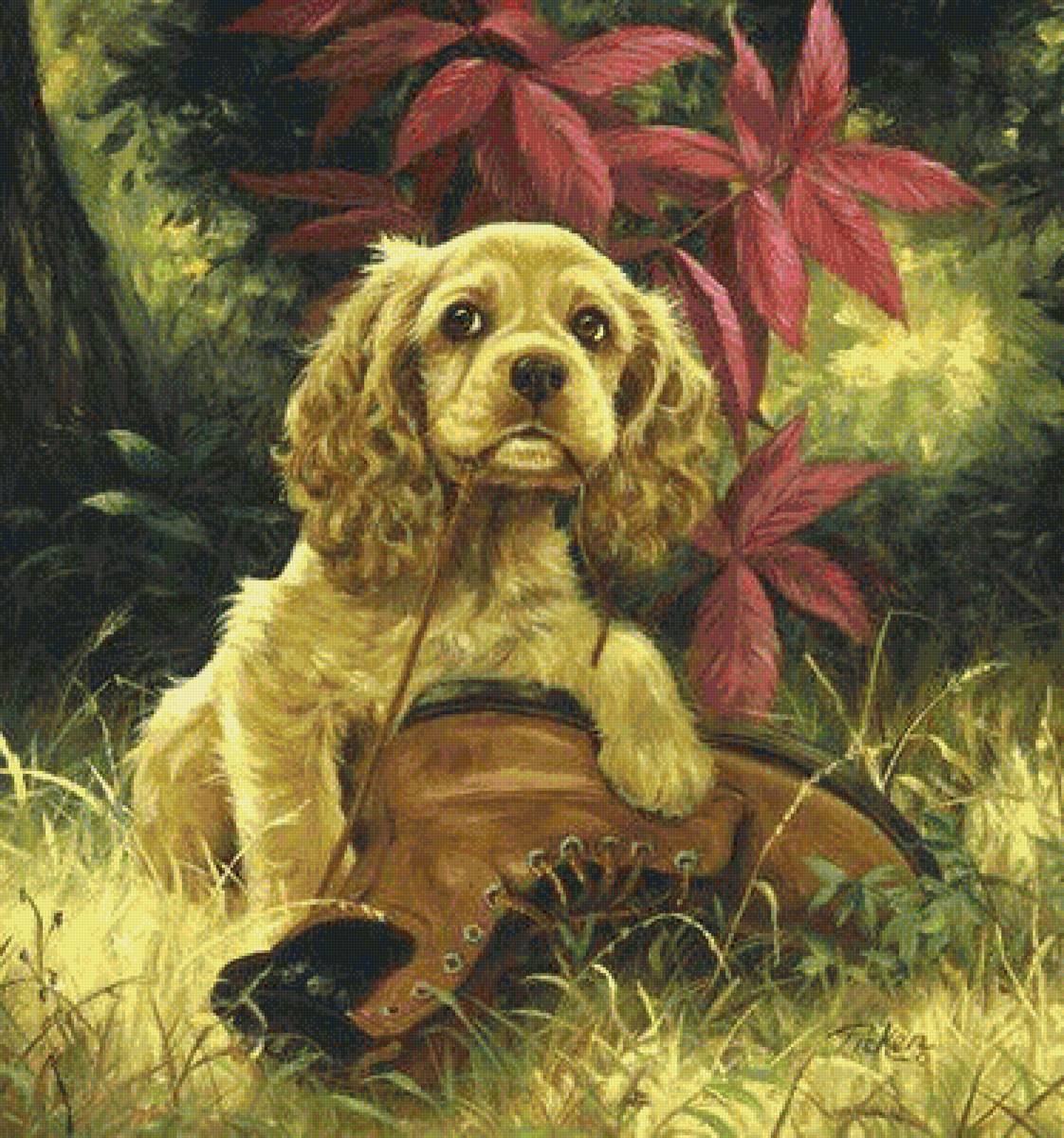 щенок - животные, лето - предпросмотр