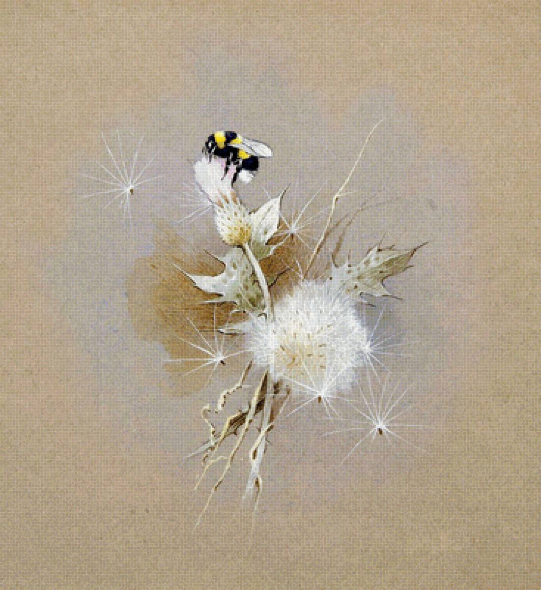 Чертополох - художники, цветы - предпросмотр