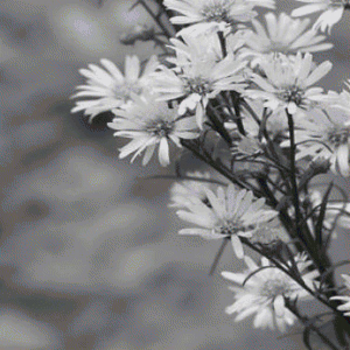 цветы часть1 - цветы часть1 - предпросмотр