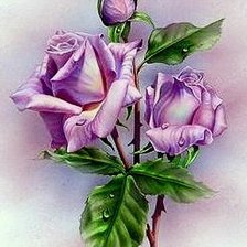 Оригинал схемы вышивки «fialové ruže» (№1298612)