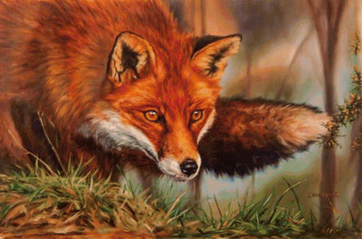 №1298616 - предпросмотр