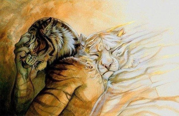 мой тигр - тигр, любовь, семья - оригинал