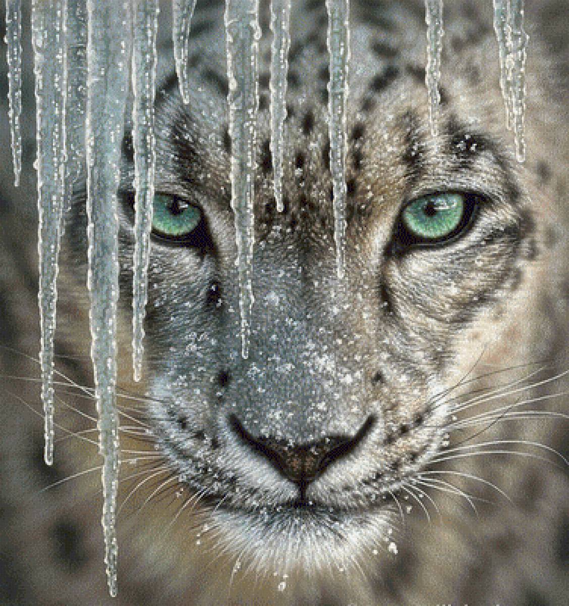 222 - предпросмотр