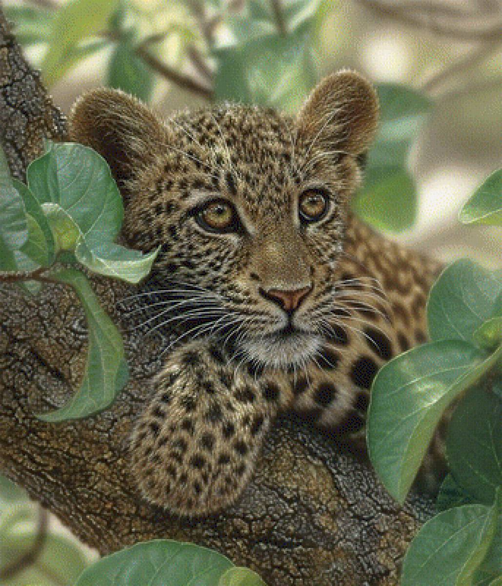 223 - предпросмотр