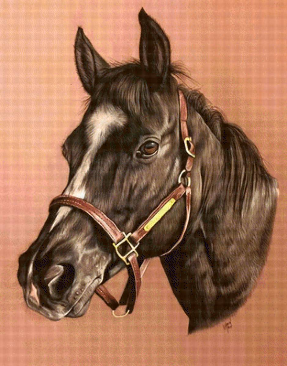 №1299599 - предпросмотр