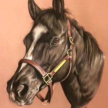 Схема вышивки «№1299599»