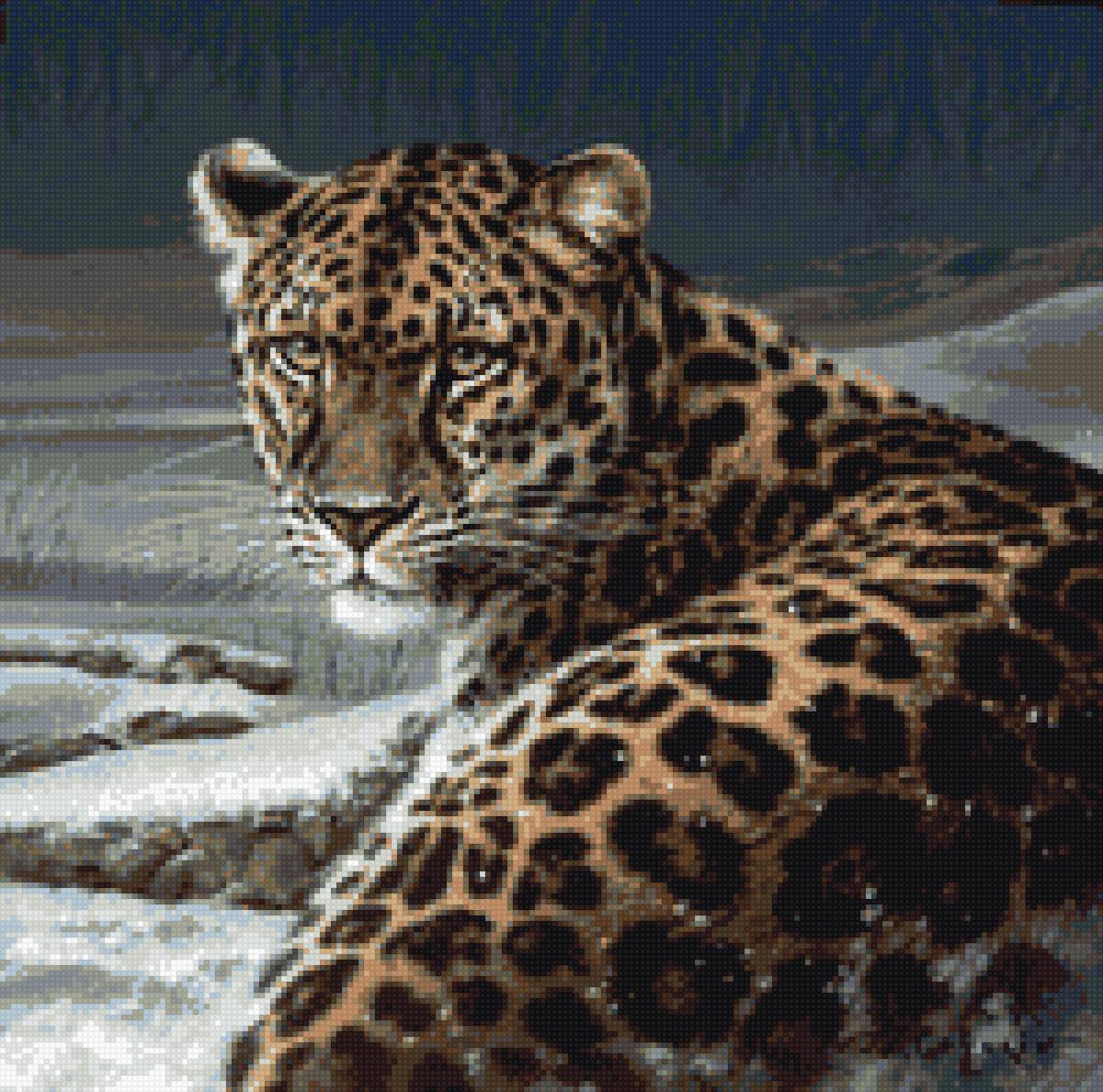 Леопард - животные, леопард - предпросмотр