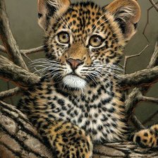 Схема вышивки «Маленький леопард»