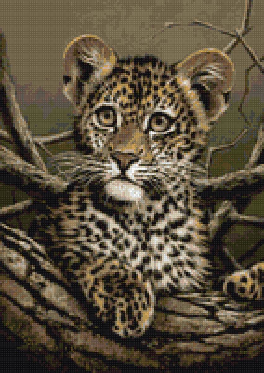 Маленький леопард - леопард, животные - предпросмотр