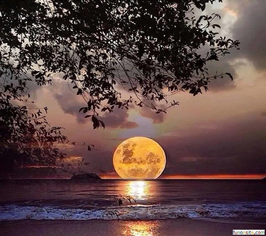 №1300018 - оригинал