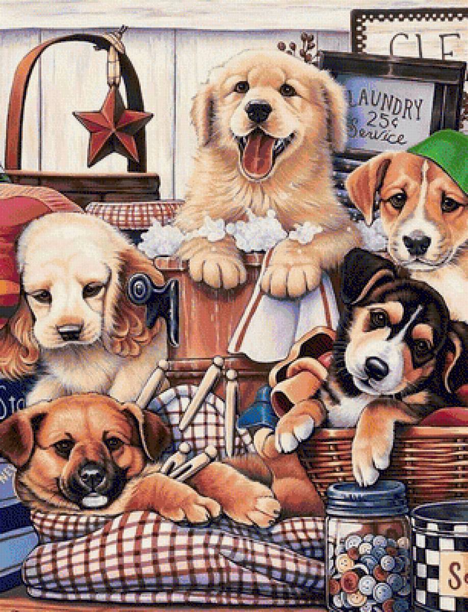 домашние любимцы - предпросмотр