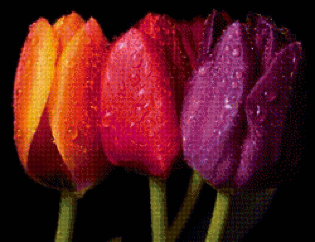 №1300505 - предпросмотр