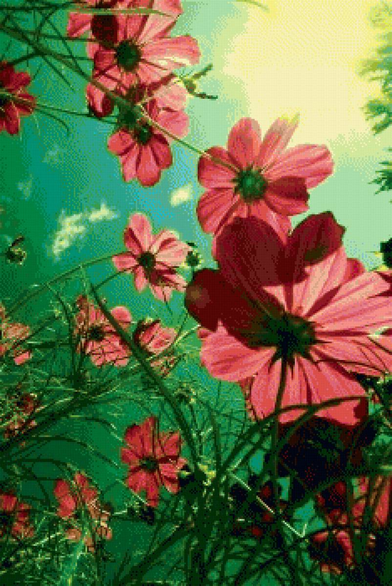 цветочки - предпросмотр