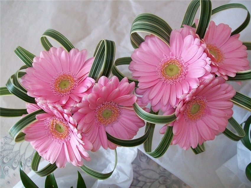 №1301534 - оригинал