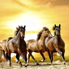 Схема вышивки «лошади 2»