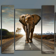 слон на дороге