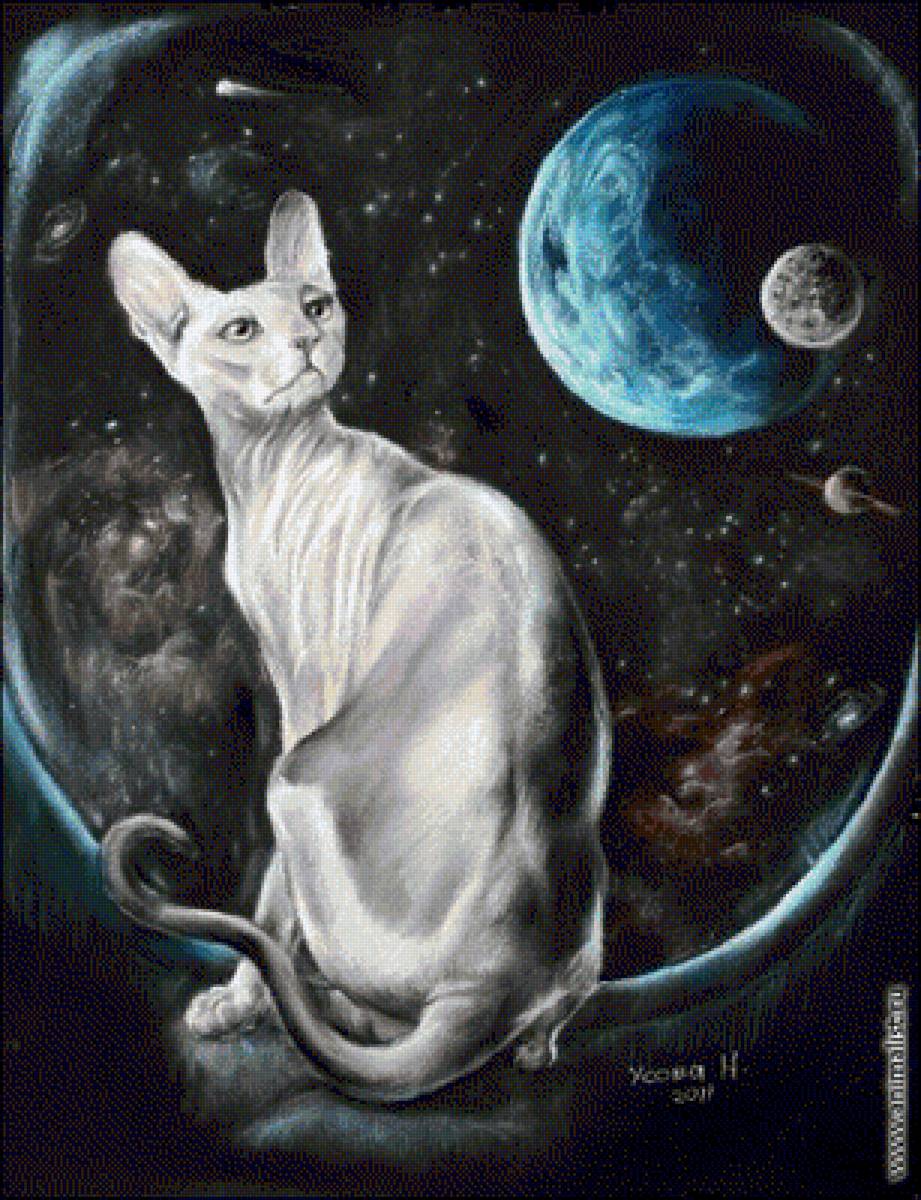 Сфинкс - лысик, кот, сфинкс, котейка - предпросмотр