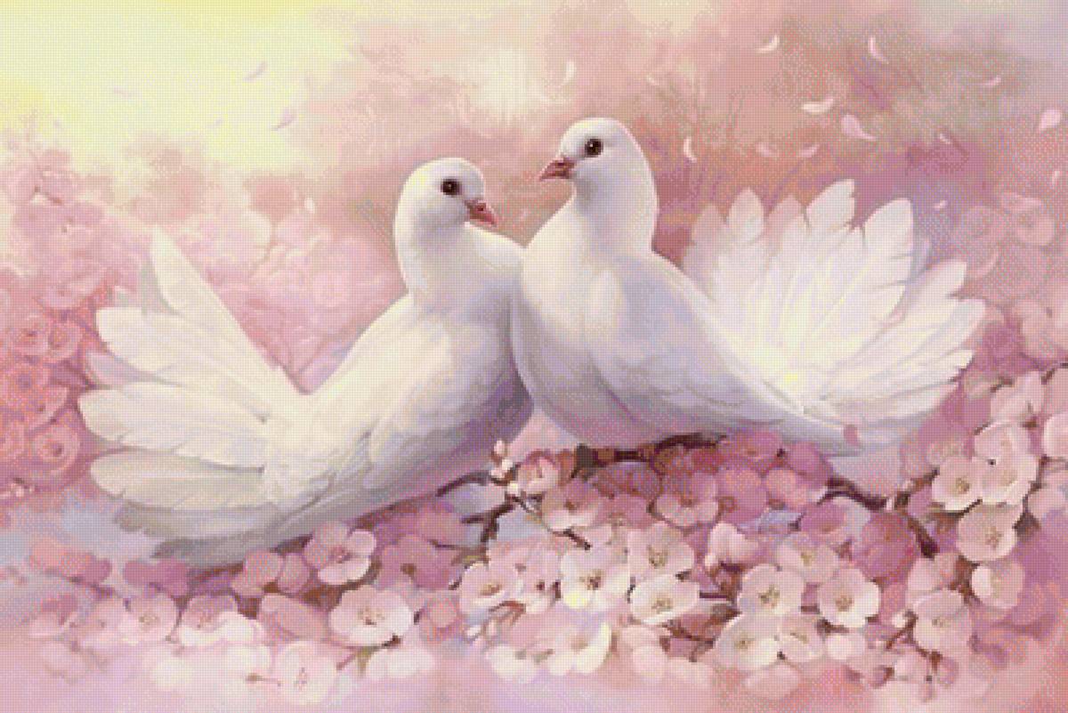 голуби - птицы, любовь - предпросмотр