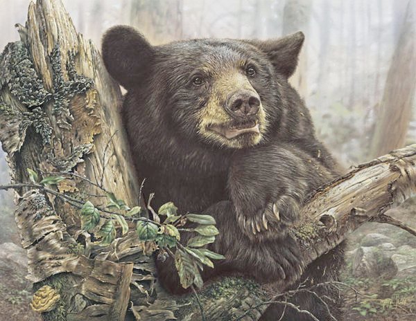 330 - оригинал