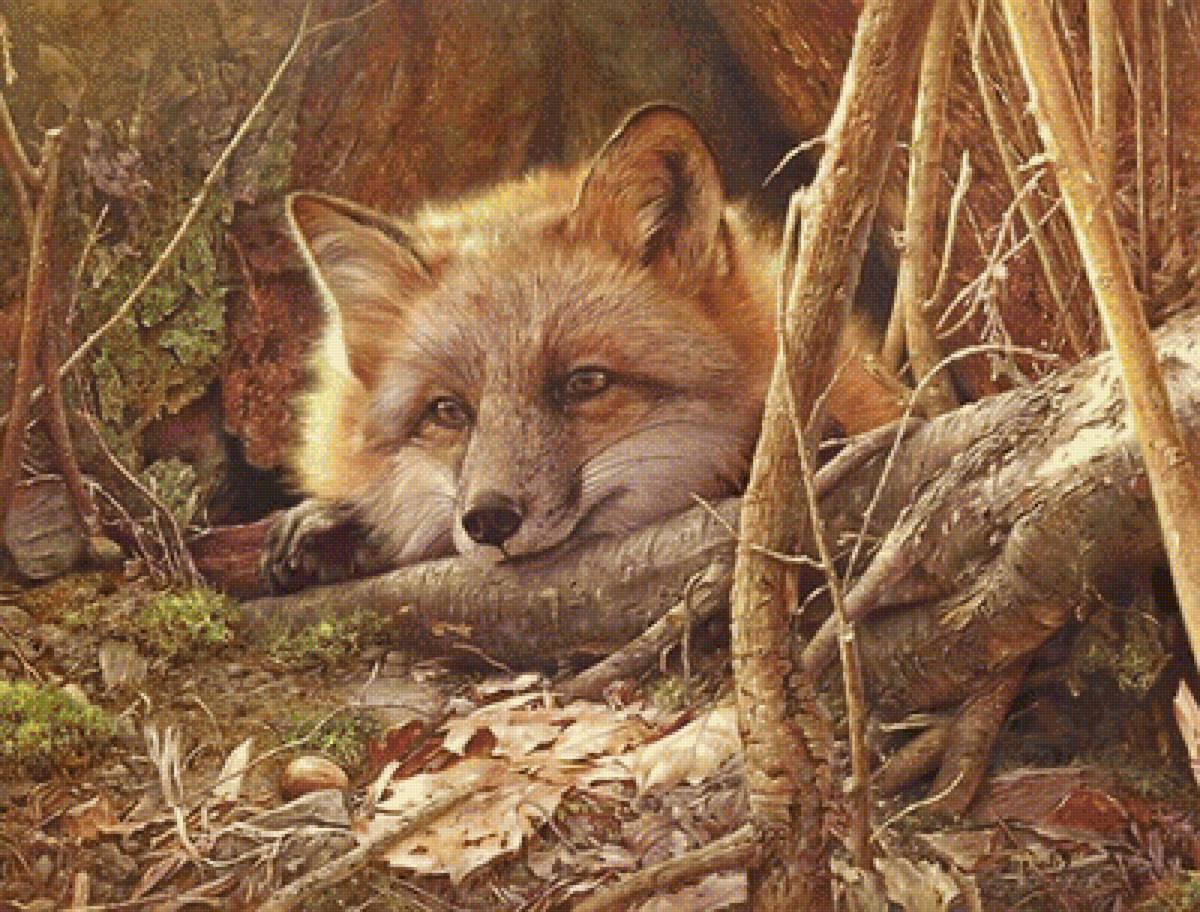 331 - предпросмотр