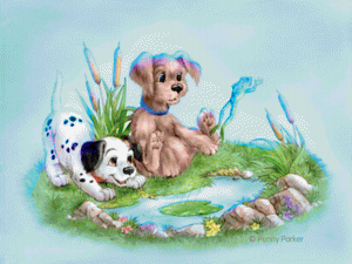 собаки - предпросмотр