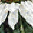 Предпросмотр схемы вышивки «Ромашки» (№1303079)