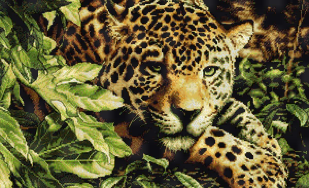 тигр 50 цветов - тигр 50 цветов 300х 183 - предпросмотр