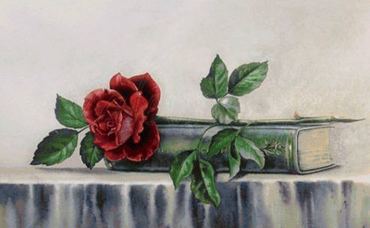 натюрморт - роза, цветок, книга - предпросмотр