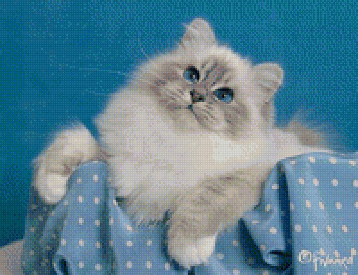 Кошка - кошка - предпросмотр